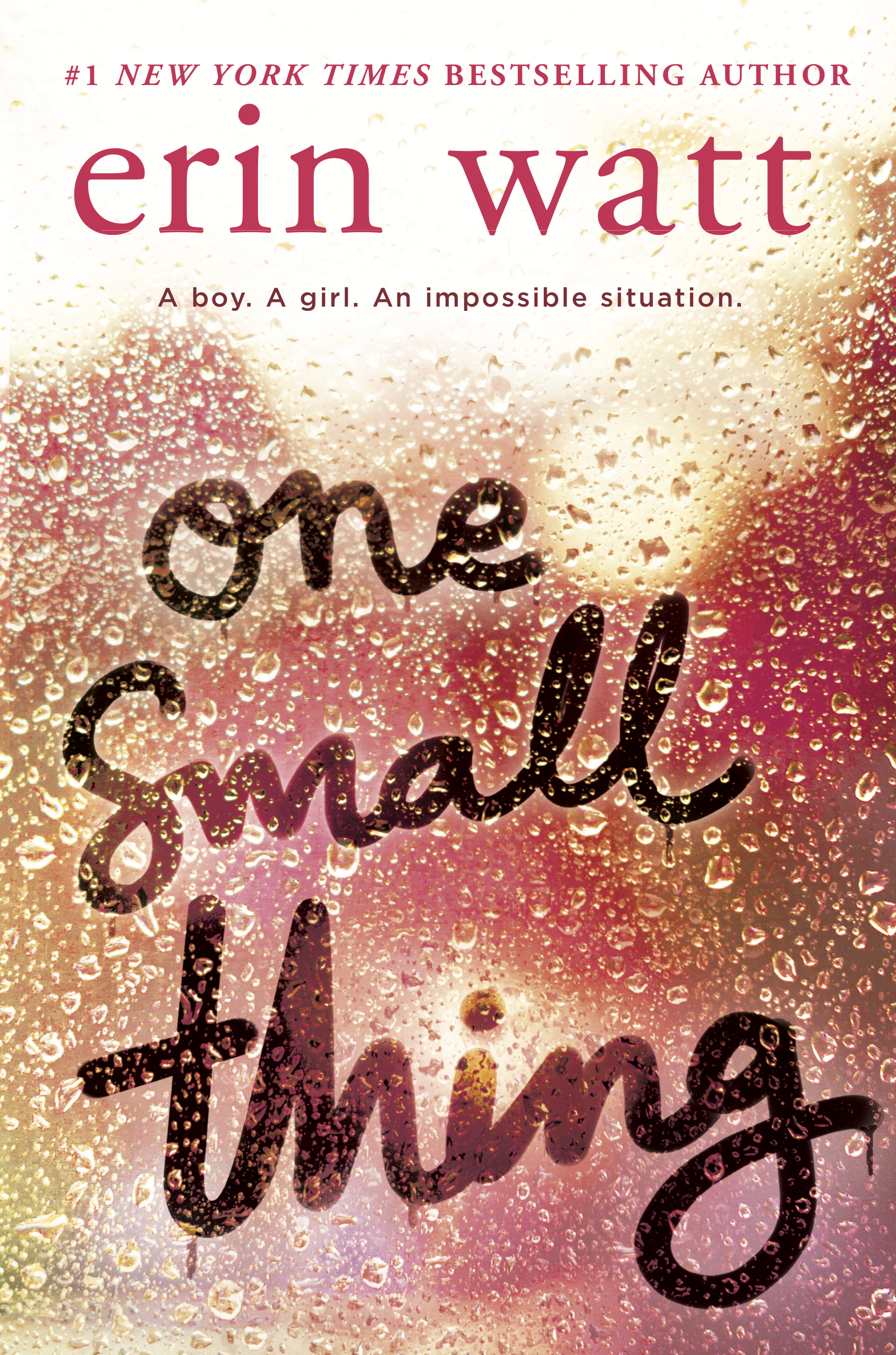 one-small-thing-author-erin-watt